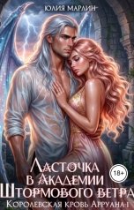 обложка книги Юлия Марлин "Ласточка в Академии Штормового ветра"