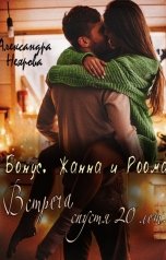 обложка книги Александра Неярова "Бонус. Встреча Жанны и Роомана спустя 20 лет"