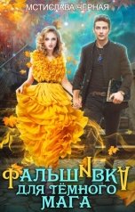 обложка книги Мстислава Чёрная "Фальшивка для тёмного мага"