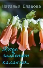 обложка книги Наталья Владова "Когда зацветёт каланхоэ..."