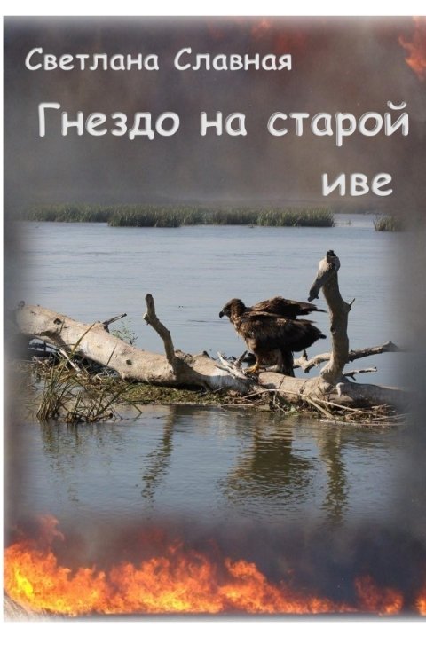 Гнездо на старой иве