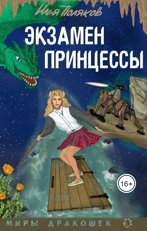 Обложка книги Илья Поляков Экзамен принцессы