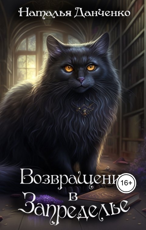 Обложка книги Н. Данченко Возвращение в Запределье