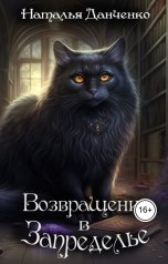 обложка книги Н. Данченко "Возвращение в Запределье"