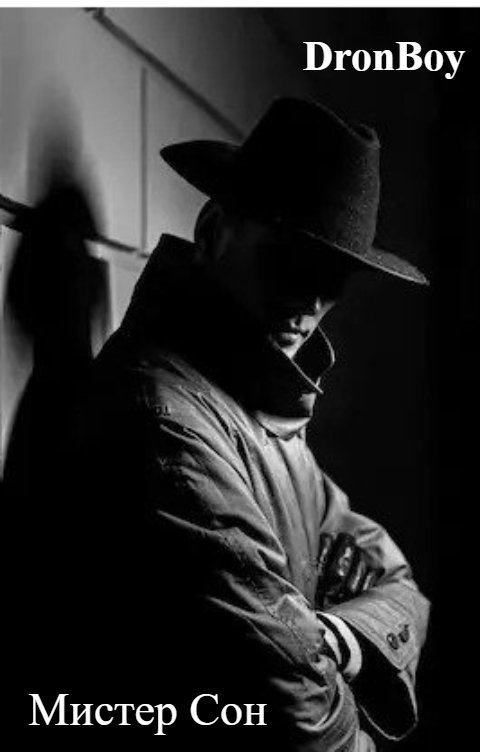 Обложка книги DronBoy Мистер Сон