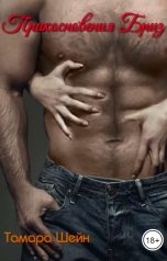 обложка книги Тамара Шейн "Прикосновения Бриз"