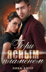 обложка книги Ника Амур "Гори ясным пламенем"