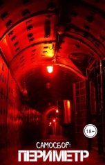 обложка книги Сновидений Кошмарович "Самосбор: Периметр"