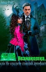 обложка книги Анна Рэй "Незнакомка, или Не крадите спящий артефакт"