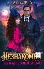 обложка книги Анна Рэй "Незнакомка, или Не крадите спящий артефакт"