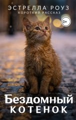 обложка книги Estrella Rose "Бездомный котенок"
