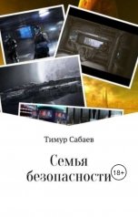обложка книги Тимур Сабаев "Семья безопасности"
