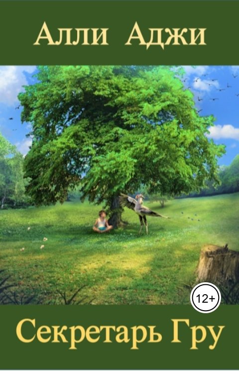 Обложка книги Алли Аджи Секретарь Гру