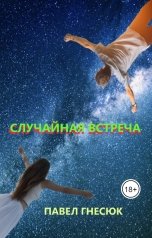 обложка книги Павел Гнесюк "Случайная встреча"