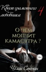 обложка книги pala4.comrat, Чолак Степан "Квест грамотного любовника 4"