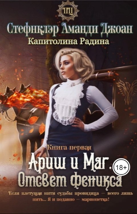 Обложка книги Капитолина Радина Ариш и Маг. Отсвет феникса (книга первая)