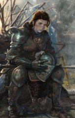 обложка книги Vladimir Sedinkin "Под ястребиным стягом"