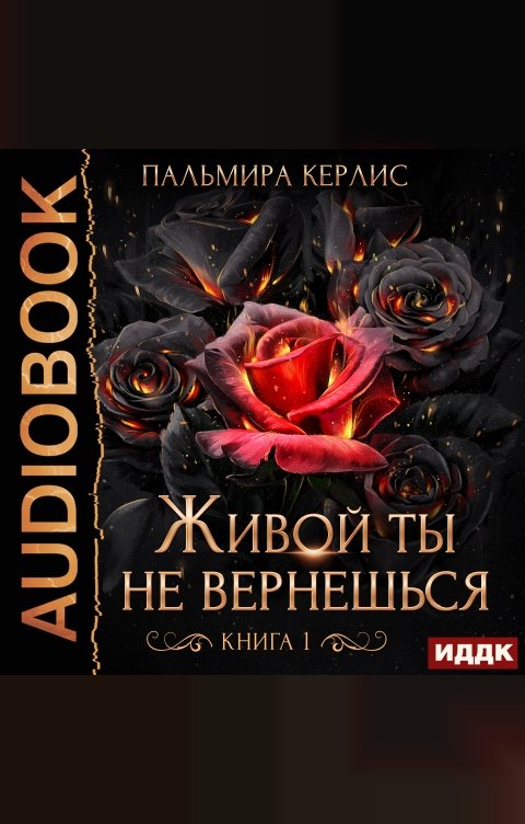 Обложка книги ИДДК Сияна. Живой ты не вернешься. Книга 1