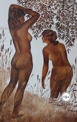 обложка книги Андрей Ланиус "Поход в женскую баню (рассказ приятеля)"