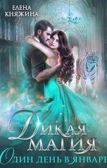 обложка книги Елена Княжина "Дикая магия. Один день в январе"