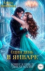 обложка книги Елена Княжина "Дикая магия. Один день в январе"