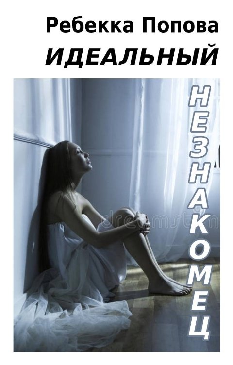 Идеальный незнакомец