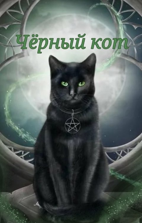 Обложка книги Дарья Рейн Чëрный кот