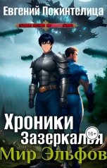 обложка книги Евгений Покинтелица "Хроники Зазеркалья 5: Мир Эльфов"