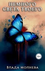 обложка книги Влада Молнева "Немного света твоего"