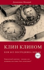 обложка книги Доминика и Николай Шамрай "Клин клином или без посредника никак"