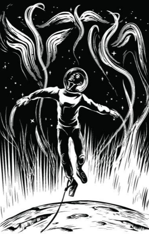 Обложка книги Тимур Максютов Лебеди