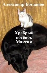 обложка книги Александр Богданов "Храбрый котёнок Максим"