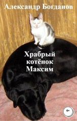 обложка книги Александр Богданов "Храбрый котёнок Максим"
