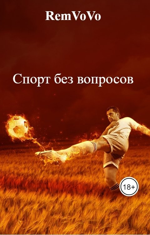 Обложка книги RemVoVo Спорт без вопросов