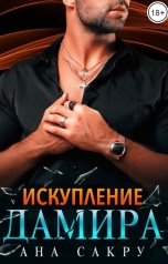 обложка книги Ана Сакру "Искупление Дамира"