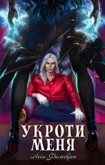 обложка книги Леси Филеберт "Укроти меня, или Грани раскола"