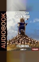 обложка книги Макс Вальтер "Чистилище. Книга 4. Стадия Пох..."