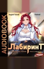 обложка книги Findroid, Ткачев Андрей "Я покорю Лабиринт с помощью техник массажа. Книга 1"