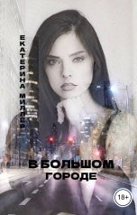 обложка книги Екатерина Миллер "В Большом городе"
