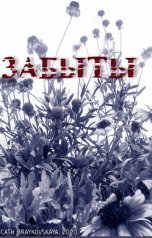 обложка книги cath braykovskaya "Забыты. Стихи"