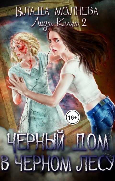 Обложка книги Влада Молнева Чёрный дом в чёрном лесу
