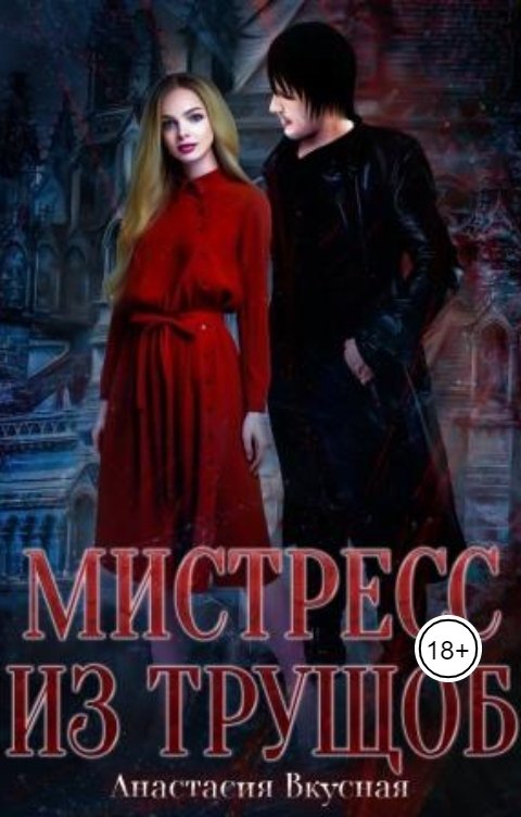 Обложка книги Анастасия Вкусная Мистресс из трущоб