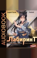 обложка книги Findroid, Ткачев Андрей "Я покорю Лабиринт с помощью техник массажа. Книга 2"