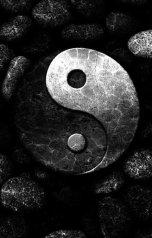 обложка книги 9162421225ar "Инь-Янь: Разрыв вселенной"