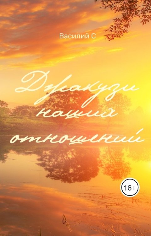 Обложка книги Василий С Джакузи наших отношений