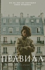 обложка книги Darya Storm "Правила"