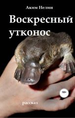 обложка книги Аким Нелин "Воскресный утконос"