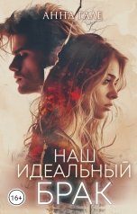 обложка книги Анна Гале "Наш идеальный брак"