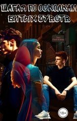 обложка книги Энн Княгинина "Шагая по осколкам битых чувств"