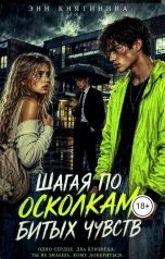 обложка книги Энн Княгинина "Шагая по осколкам битых чувств"